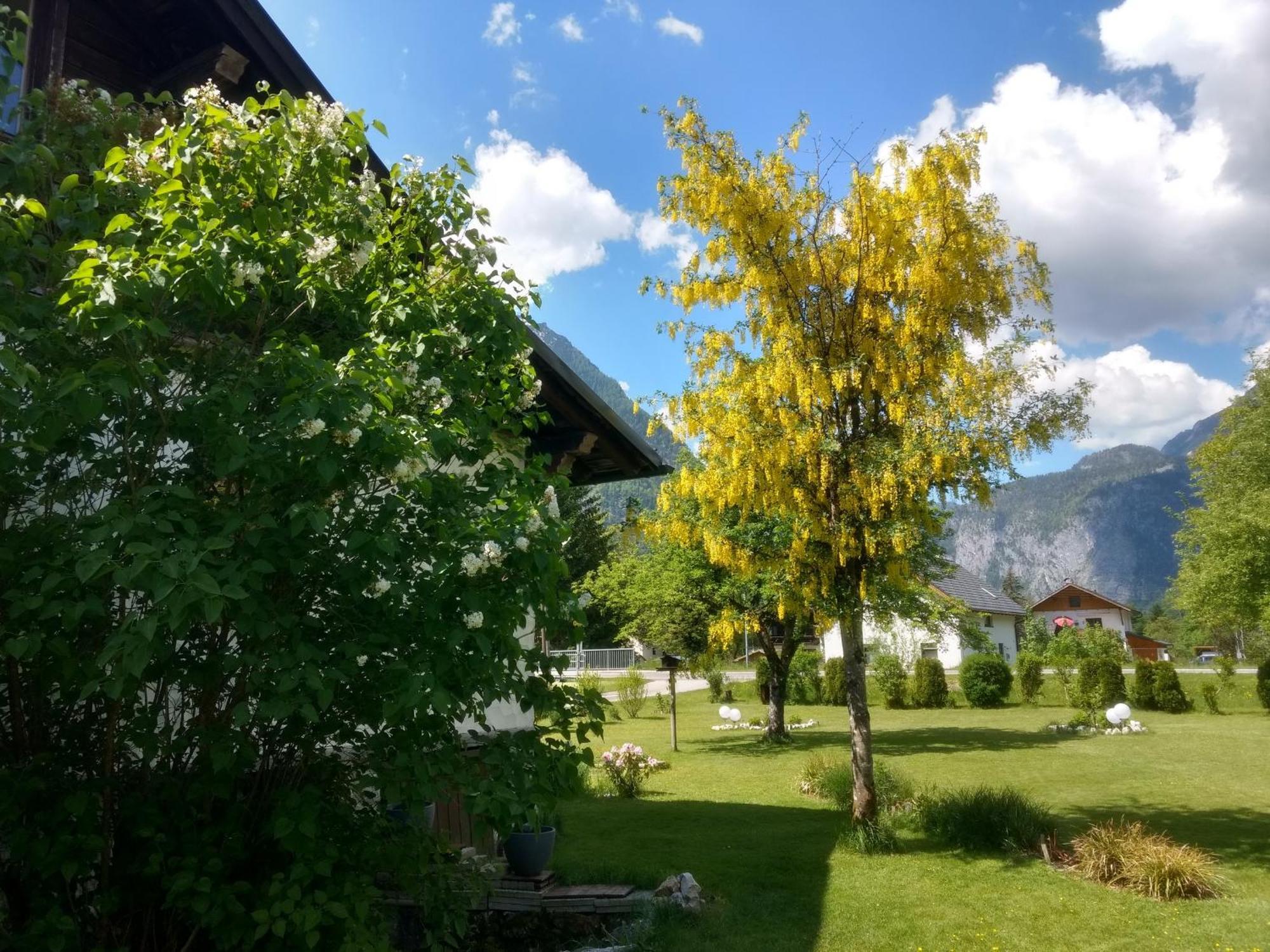 Apartamento Haus Alpenblick Obertraun Exterior foto