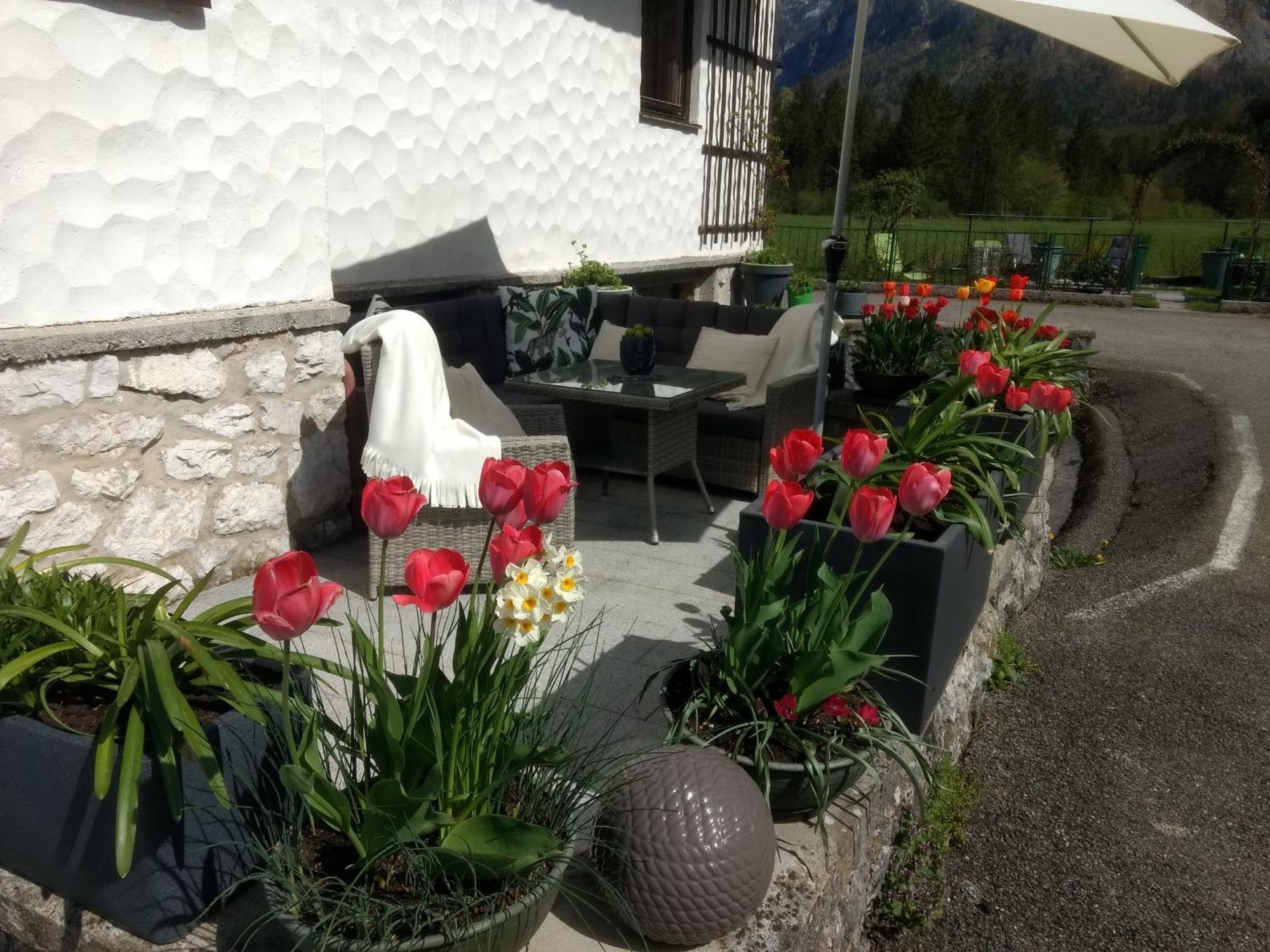 Apartamento Haus Alpenblick Obertraun Exterior foto