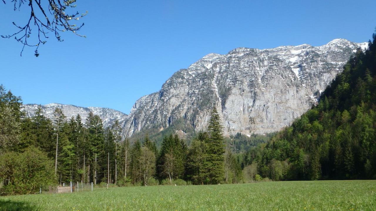 Apartamento Haus Alpenblick Obertraun Exterior foto